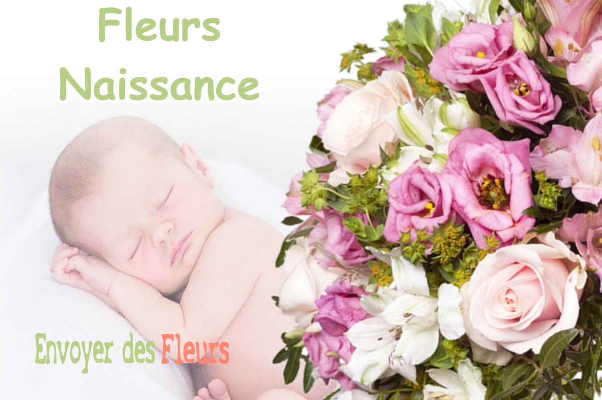 lIVRAISON FLEURS NAISSANCE à BRABANT-LE-ROI